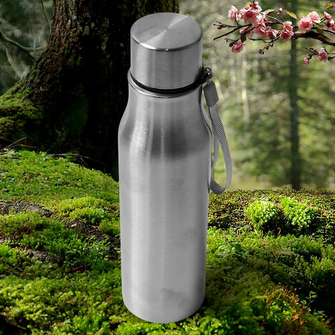 12931 Stainless Steel Water Bottle | Leak Proof | Office Bottle | Gym Bottle | Home | Kitchen | Hiking | Trekking Bottle | Travel Bottle (1000 ML)